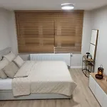 Apartament Sobotka *